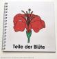 Preview: Definitionsmaterial - Die Teile der Blüte