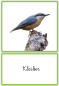 Preview: Klassifikationsmaterial - heimische Vögel