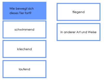 Frage-Antwort-Spiel Tiere