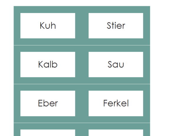 Tierfamilien - (Wortstudium/korrekter Ausdruck)