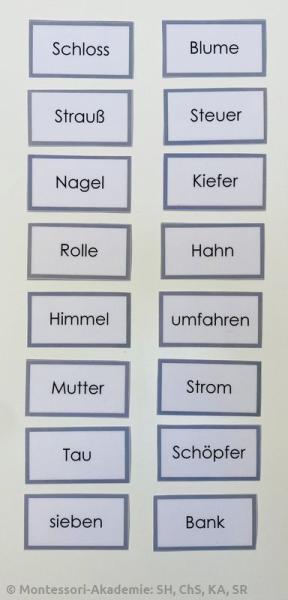 Homonyme - Legekärtchen